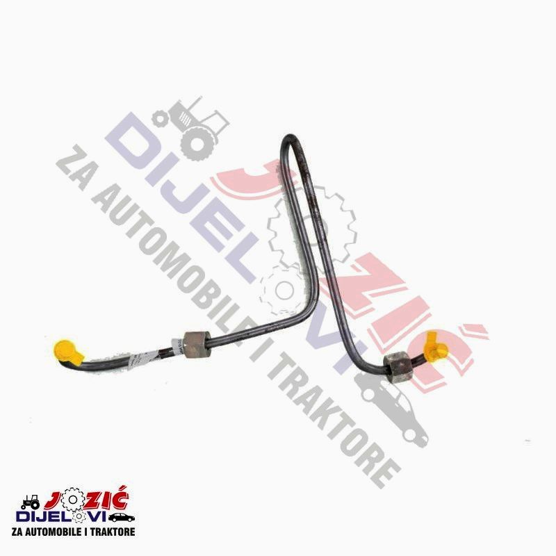 Daisy on the Ohoopee